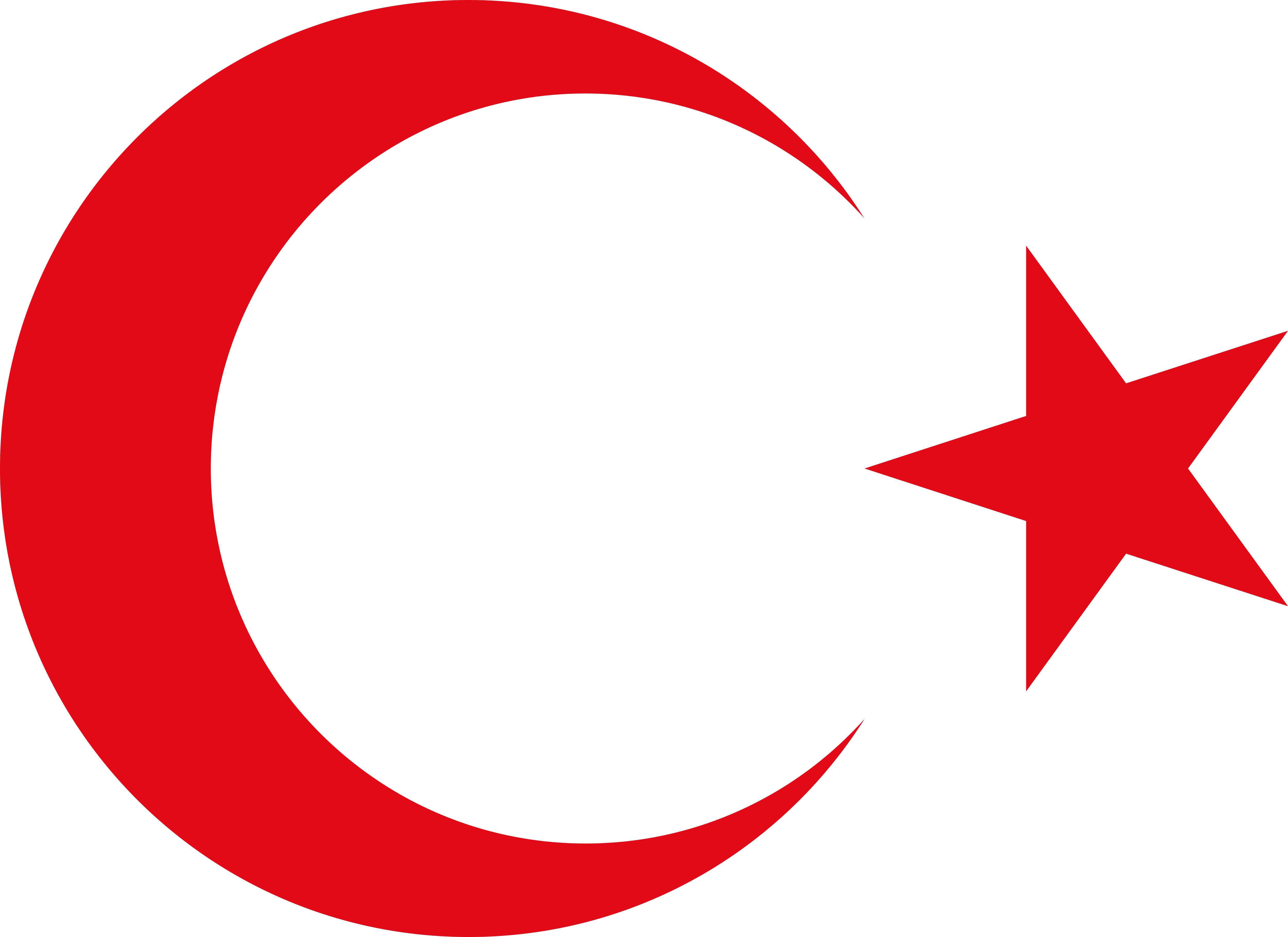 Detail Logo Turkey Nomer 5