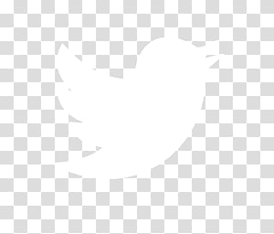 Detail Logo Twitter Png White Nomer 17
