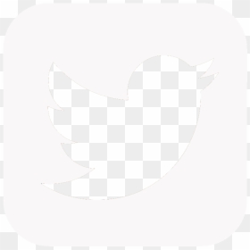 Detail Logo Twitter White Nomer 36
