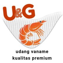 Detail Logo Udang Vaname Nomer 37