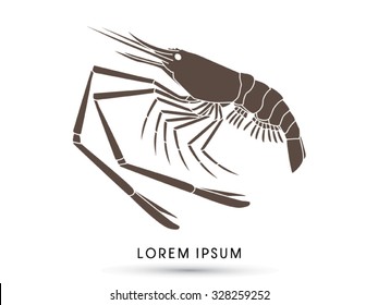 Detail Logo Udang Vector Nomer 24