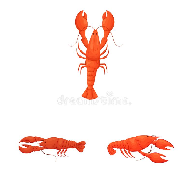 Detail Logo Udang Vector Nomer 30