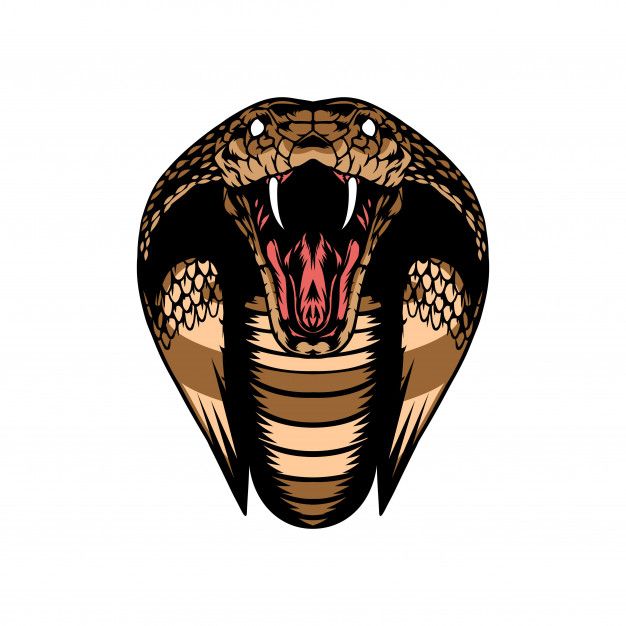 Detail Logo Ular Vector Nomer 54
