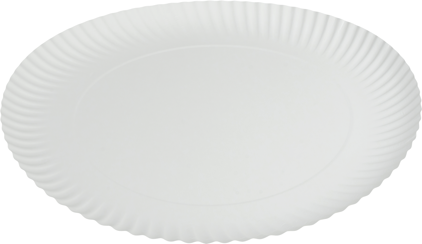 Detail Paper Plate Png Nomer 13