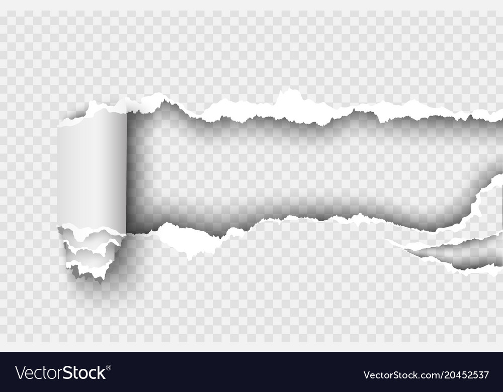 Detail Paper Png Vector Nomer 44