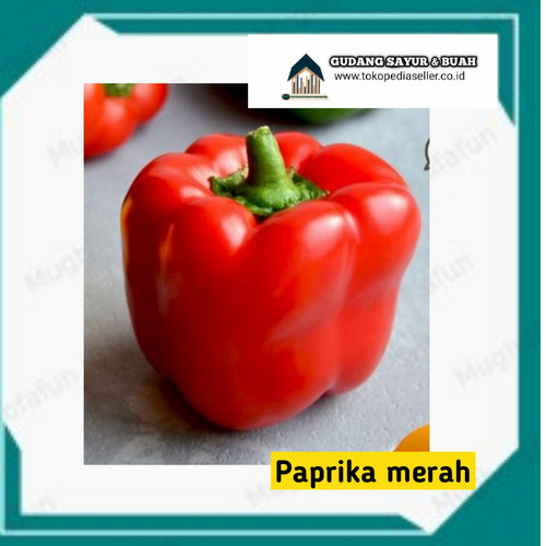 Detail Paprika Buah Atau Sayur Nomer 48