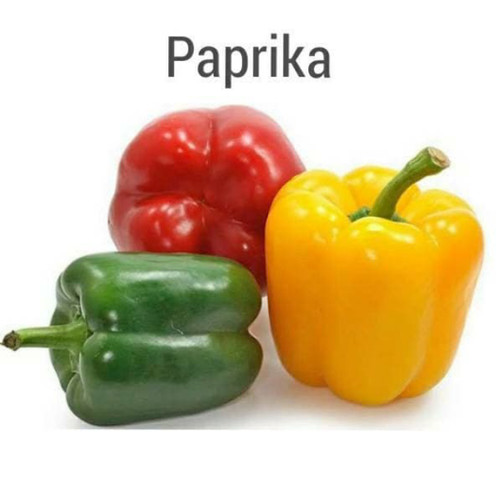 Detail Paprika Merah Kuning Hijau Nomer 8