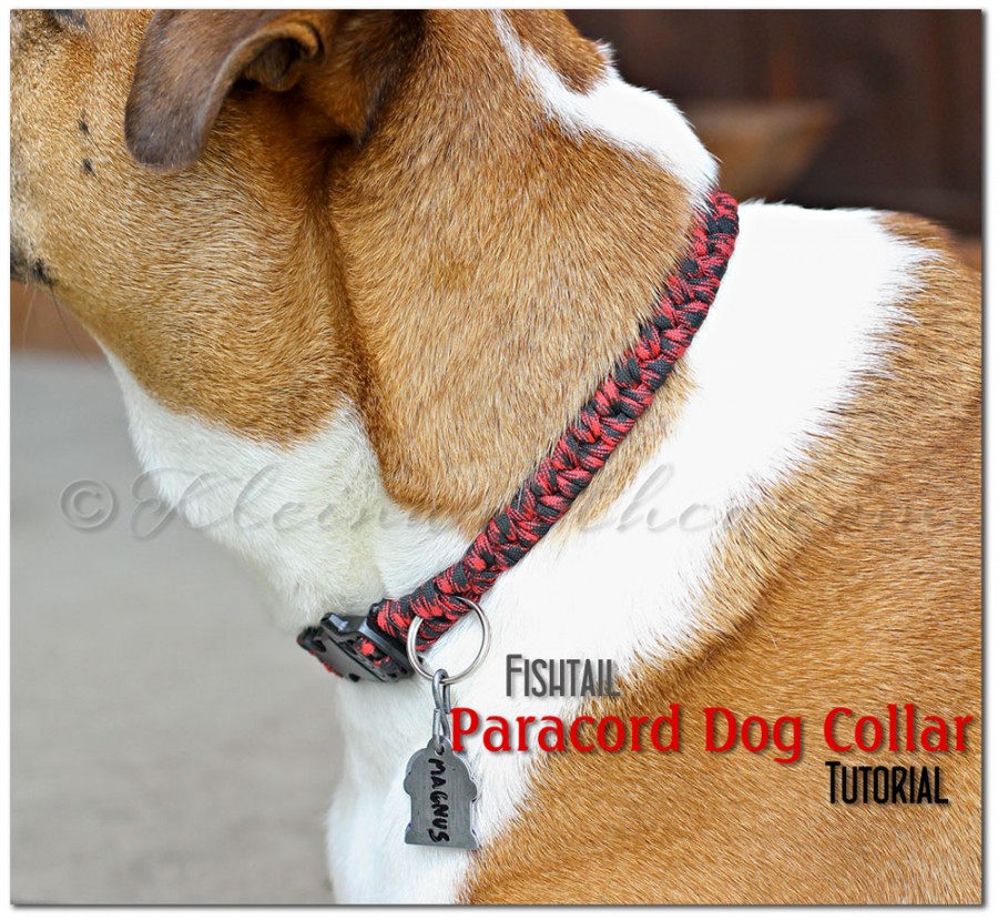 Detail Parachute Dog Collar Nomer 30