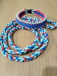 Detail Parachute Dog Collar Nomer 54