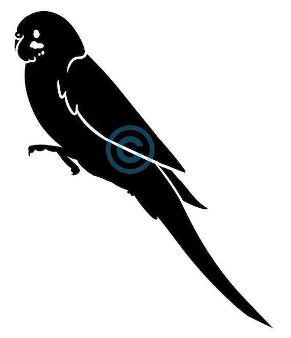 Detail Parakeet Png Nomer 21