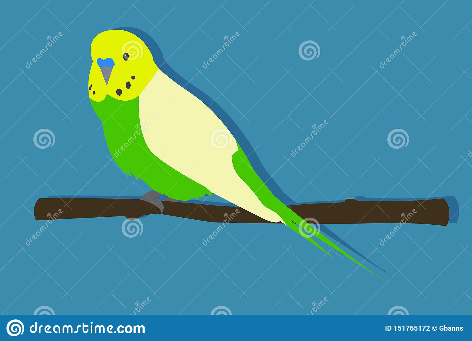 Detail Parakeet Png Nomer 50