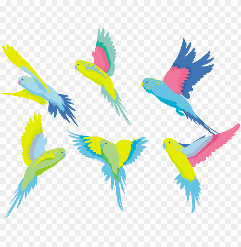 Detail Parakeet Png Nomer 51