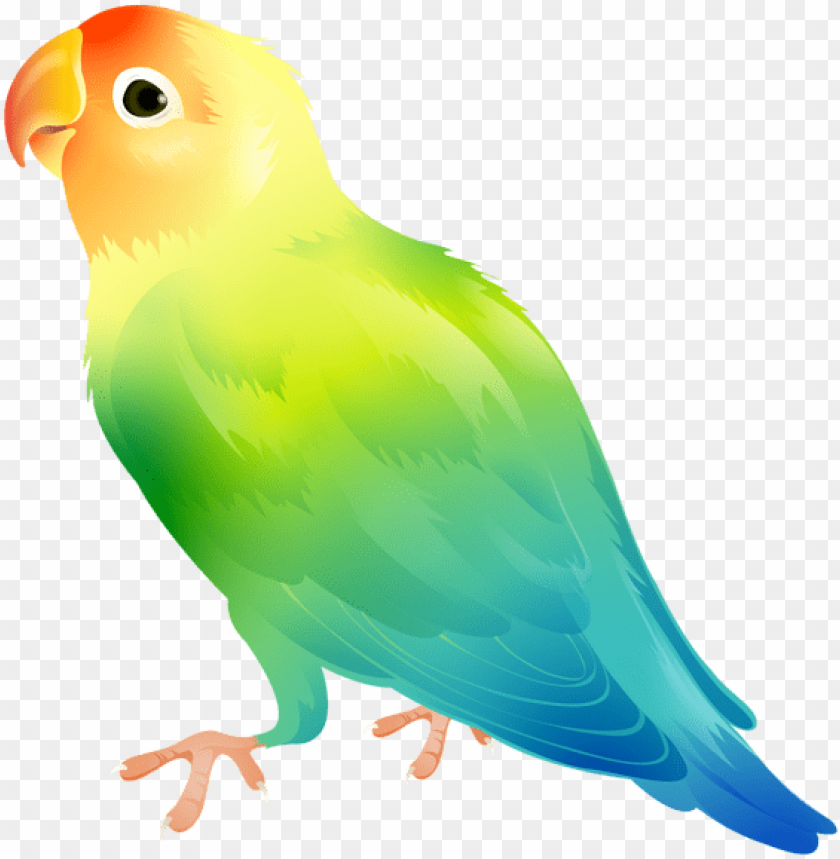Detail Parakeet Png Nomer 57