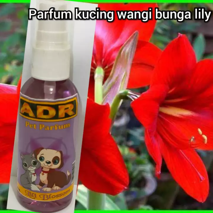 Detail Parfum Bunga Lily Nomer 28