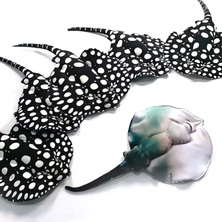 Detail Pari Black Diamond Nomer 27