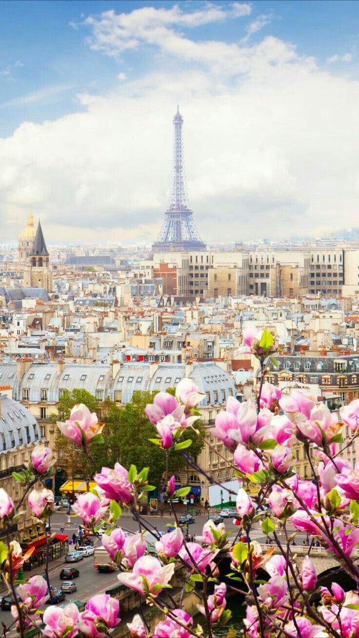 Detail Paris Wallpaper Pinterest Nomer 13