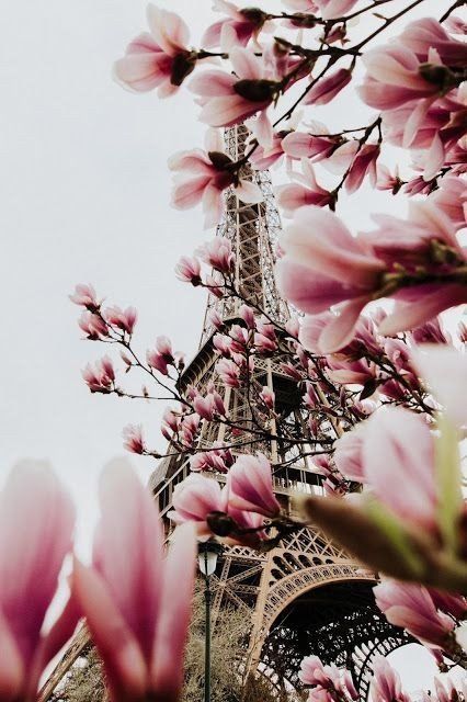 Detail Paris Wallpaper Pinterest Nomer 39