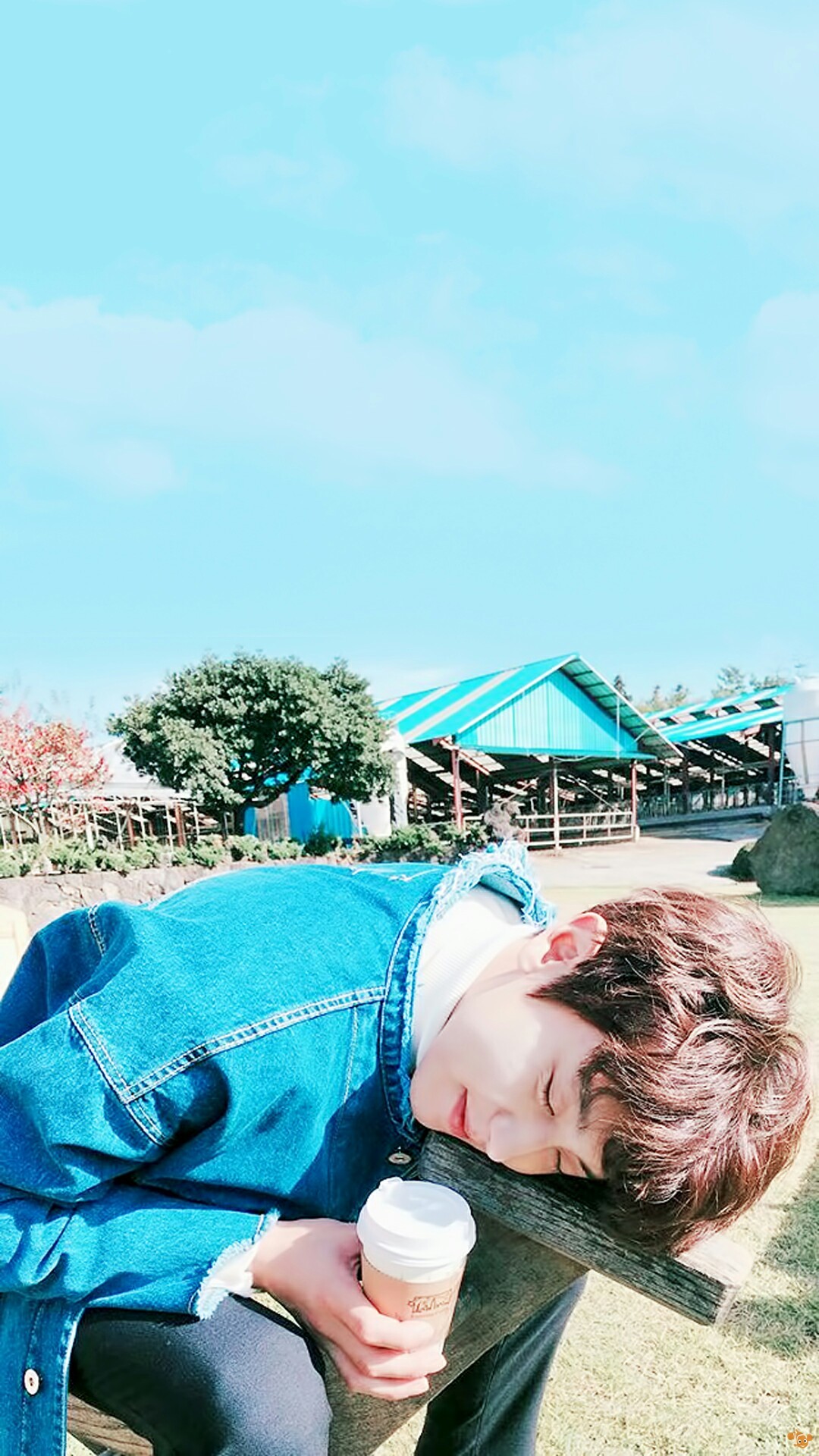 Detail Park Chanyeol Wallpaper Nomer 21