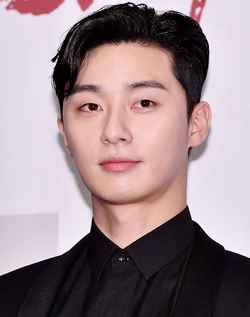 Detail Park Seo Joon Png Nomer 15