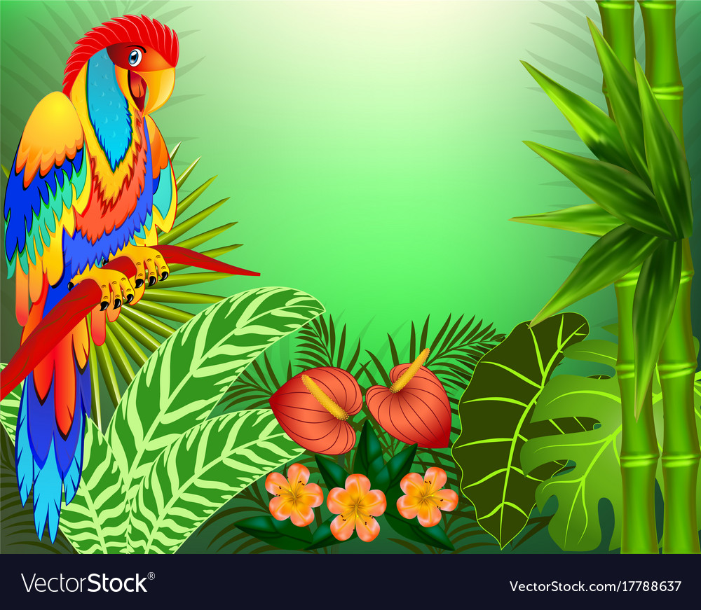 Detail Parrot Background Nomer 23