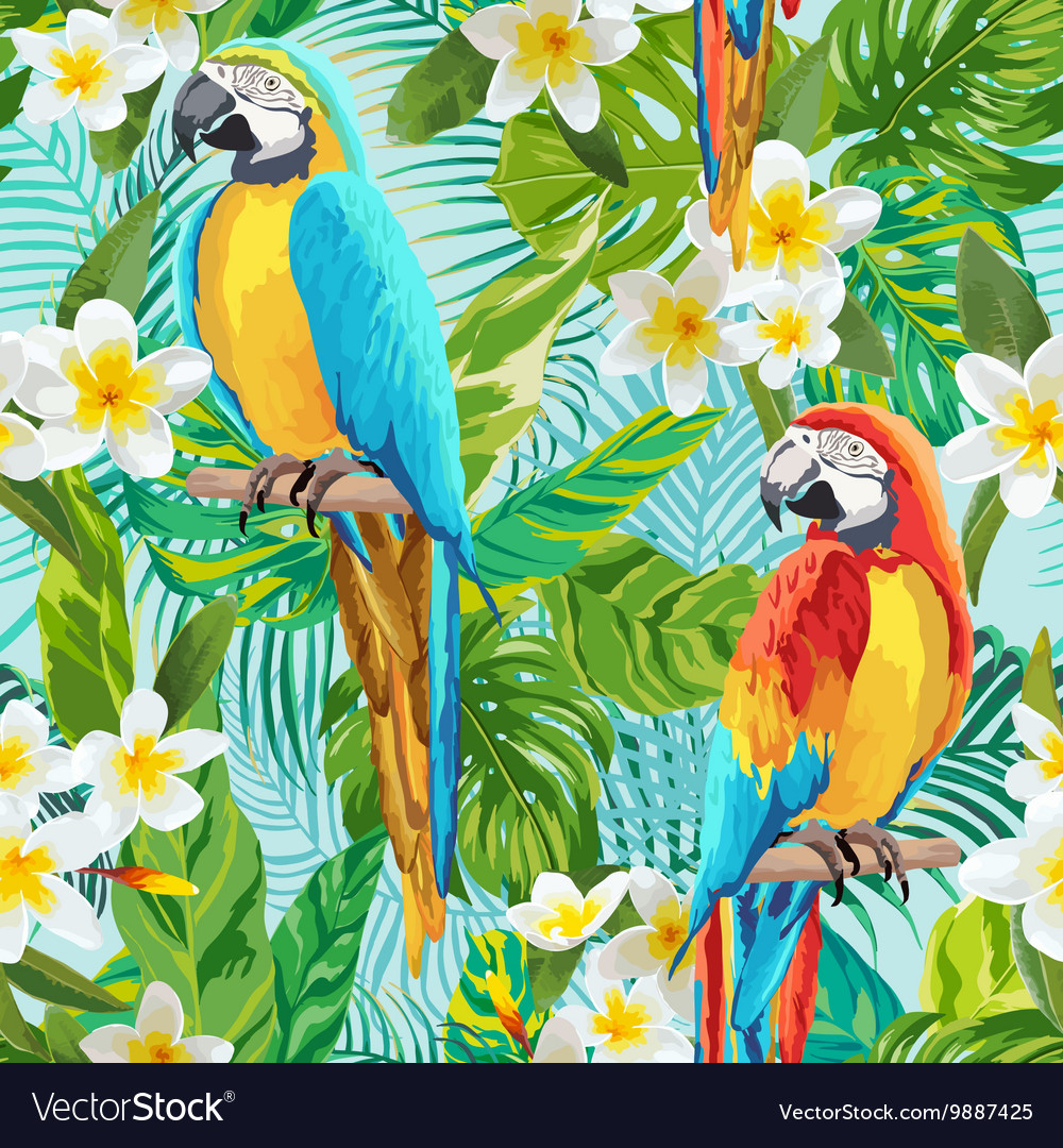 Detail Parrot Background Nomer 25