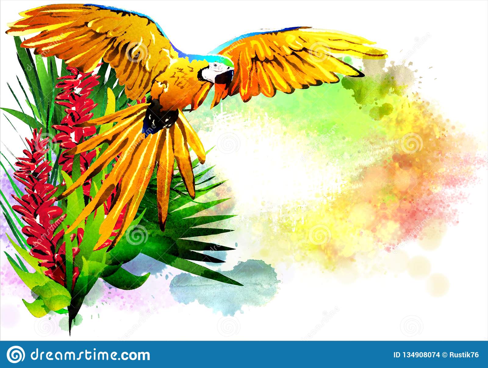 Detail Parrot Background Nomer 32