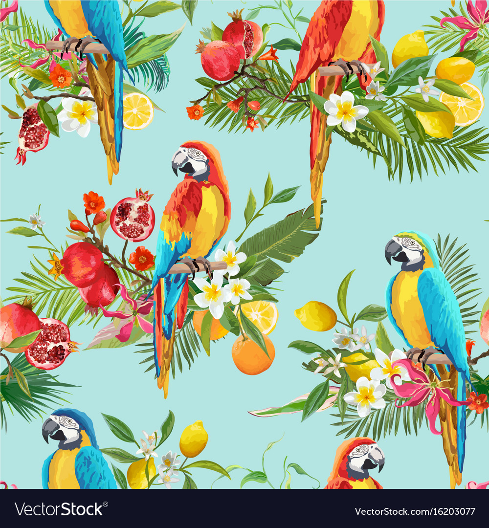 Detail Parrot Background Nomer 5