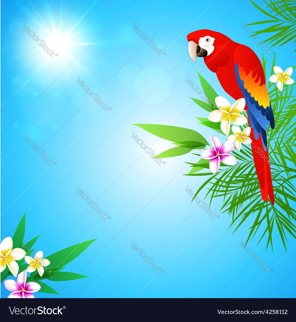 Detail Parrot Background Nomer 6