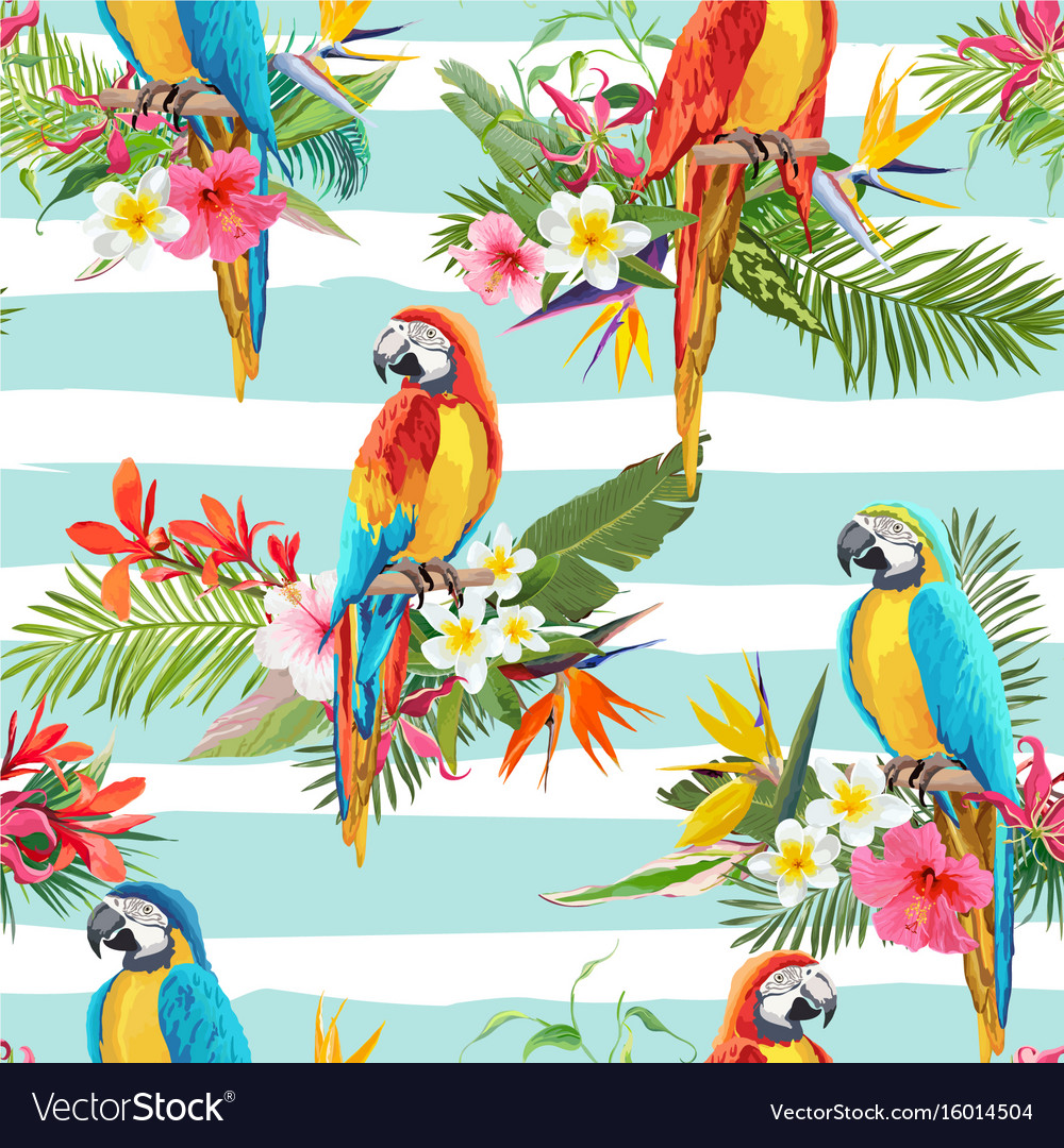 Detail Parrot Background Nomer 48