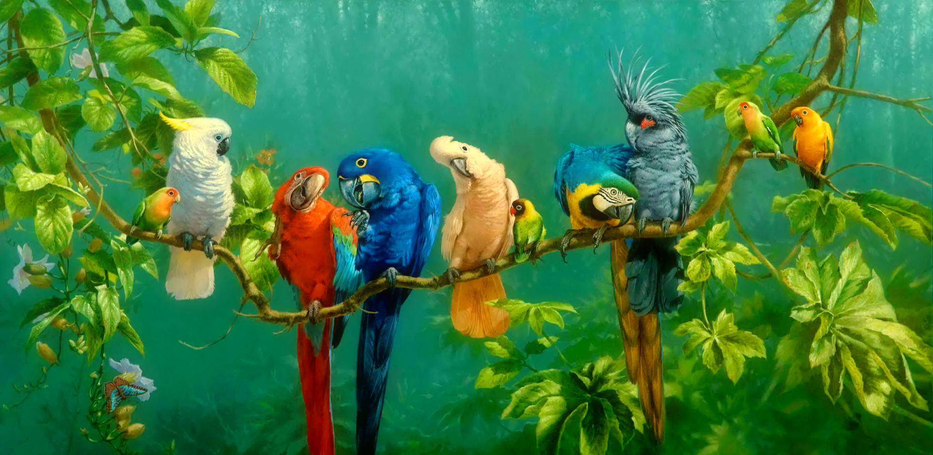 Detail Parrot Background Nomer 8