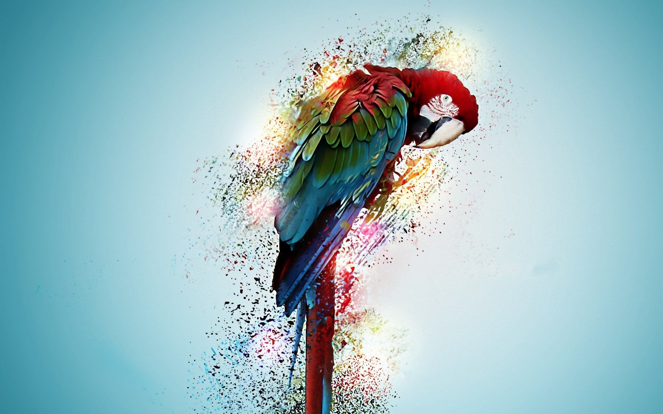 Detail Parrot Background Nomer 9