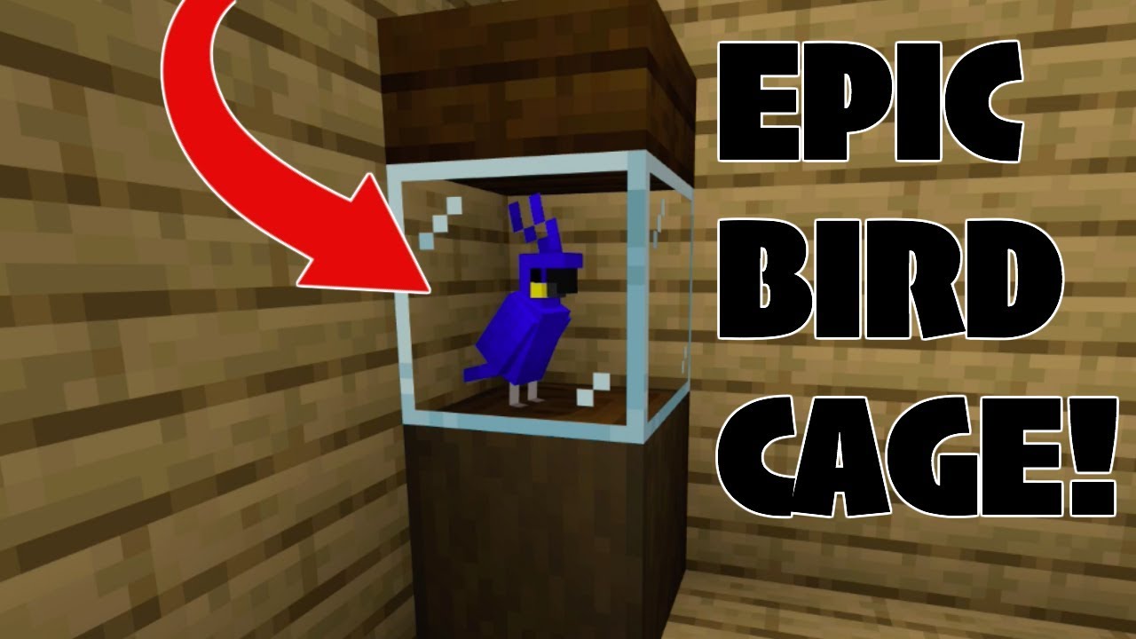 Detail Parrot Cage Minecraft Nomer 6