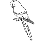 Detail Parrot Clipart Black And White Nomer 12