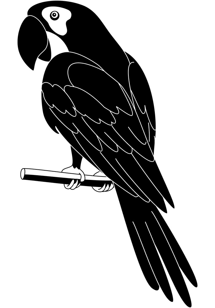 Detail Parrot Clipart Black And White Nomer 21