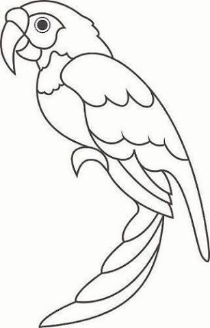 Detail Parrot Clipart Black And White Nomer 26