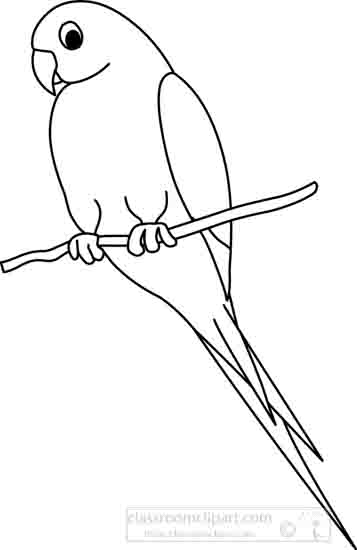 Detail Parrot Clipart Black And White Nomer 31