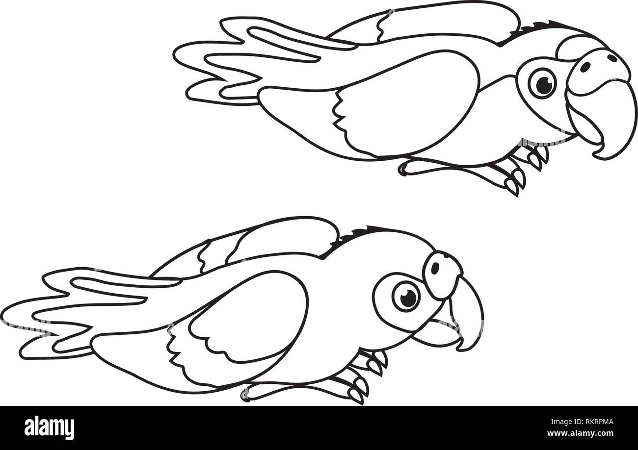 Detail Parrot Clipart Black And White Nomer 32