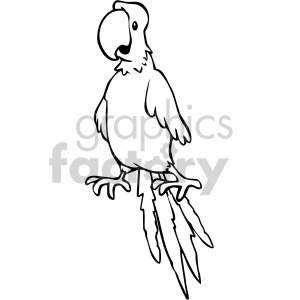 Detail Parrot Clipart Black And White Nomer 42