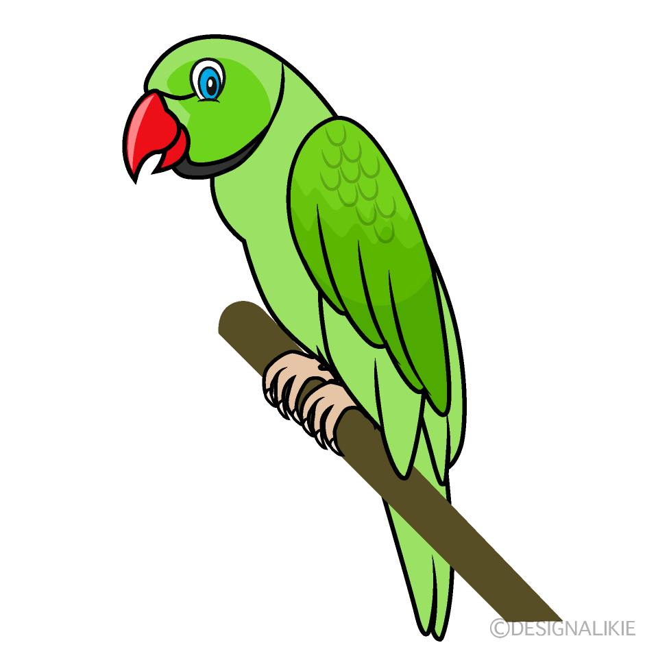 Detail Parrot Clipart Free Nomer 23