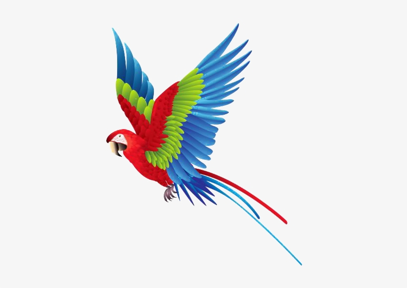 Detail Parrot Clipart Free Nomer 29
