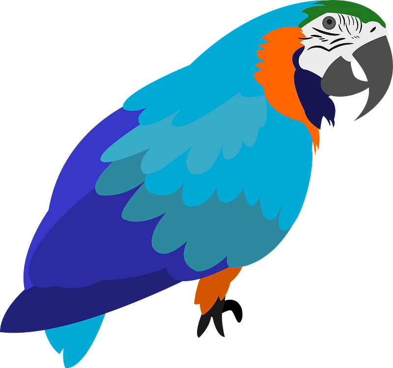 Detail Parrot Clipart Free Nomer 35