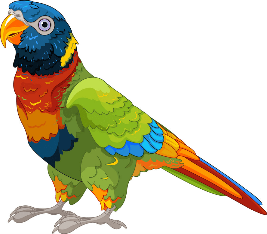 Detail Parrot Clipart Free Nomer 39