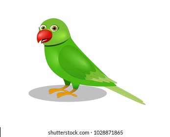 Parrot Color Images - KibrisPDR