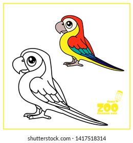 Detail Parrot Color Images Nomer 33