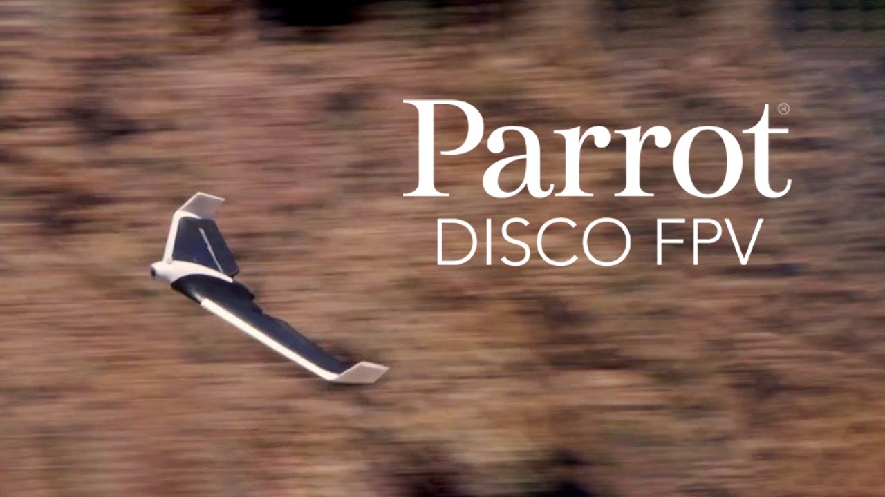 Parrot Disco Youtube - KibrisPDR
