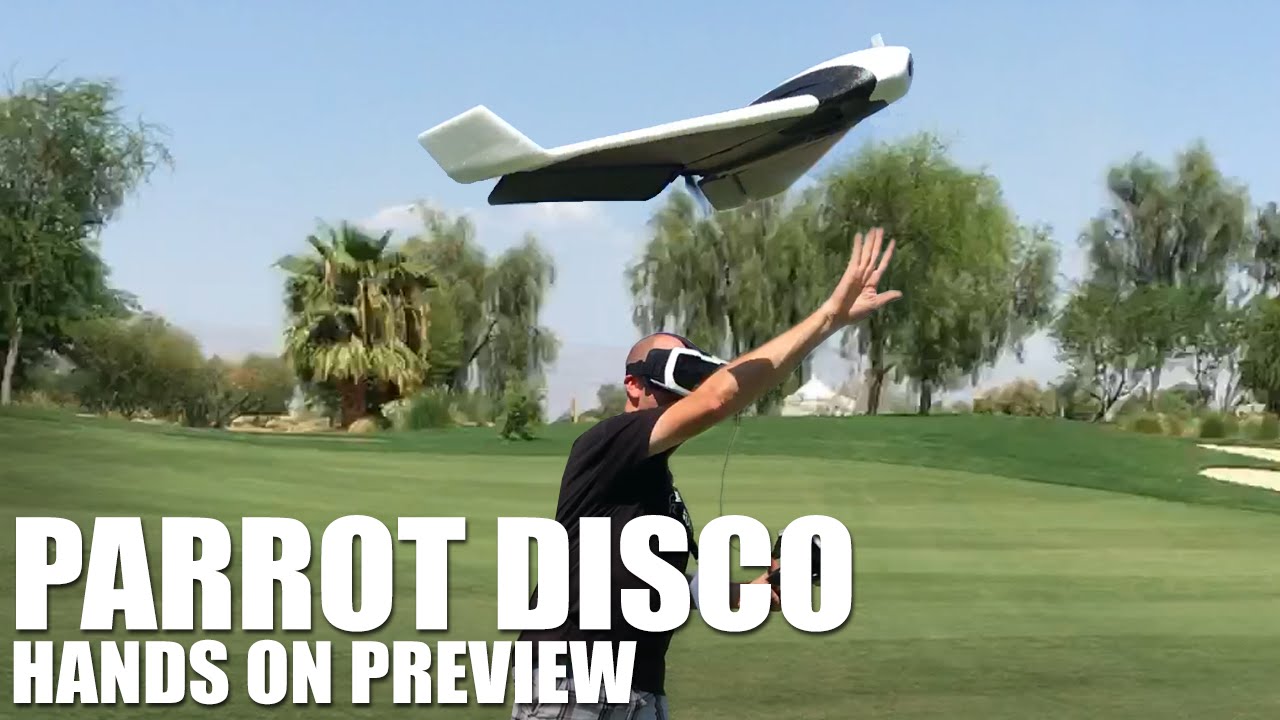 Detail Parrot Disco Youtube Nomer 2