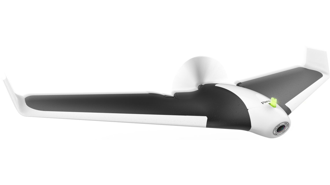 Detail Parrot Disco Youtube Nomer 11