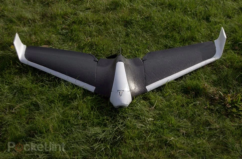 Detail Parrot Disco Youtube Nomer 12
