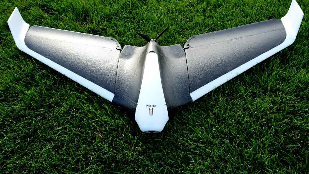 Detail Parrot Disco Youtube Nomer 13