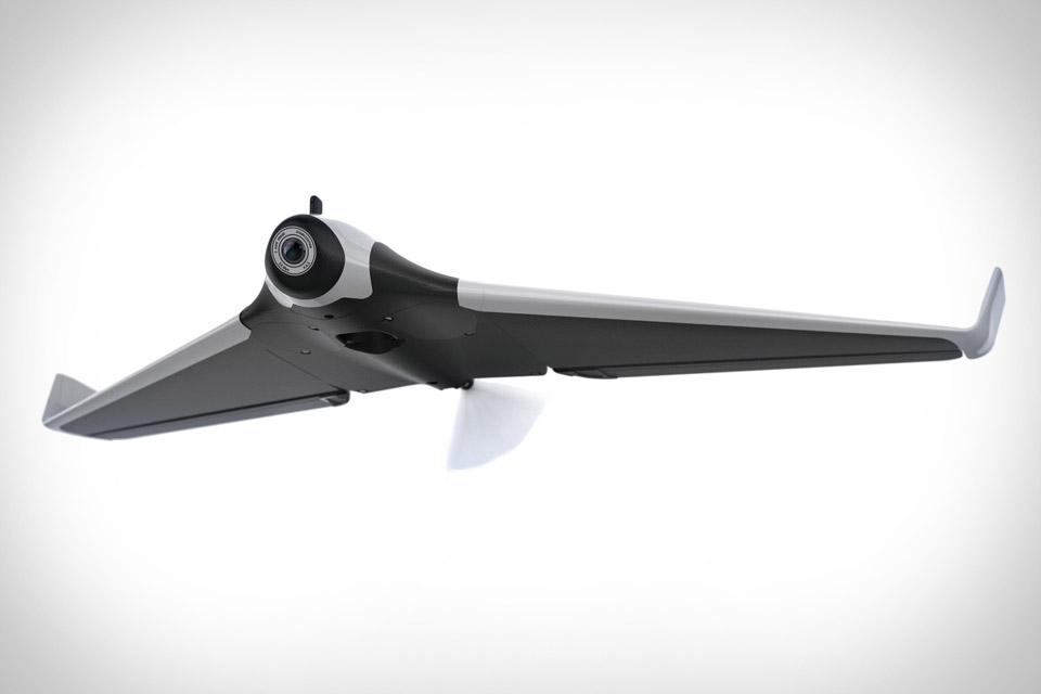 Detail Parrot Disco Youtube Nomer 14